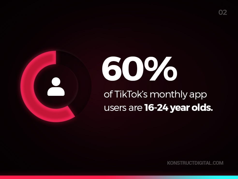 TikTok demographic stats infographic.