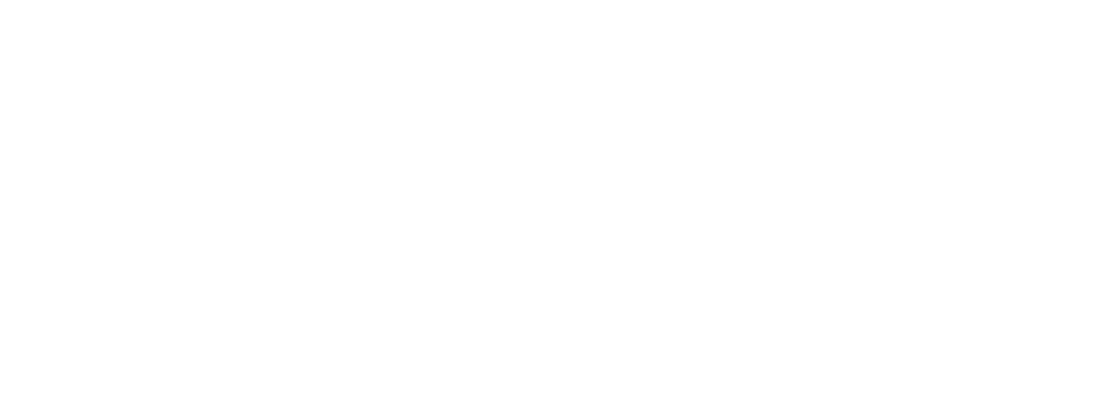 YWCA logo