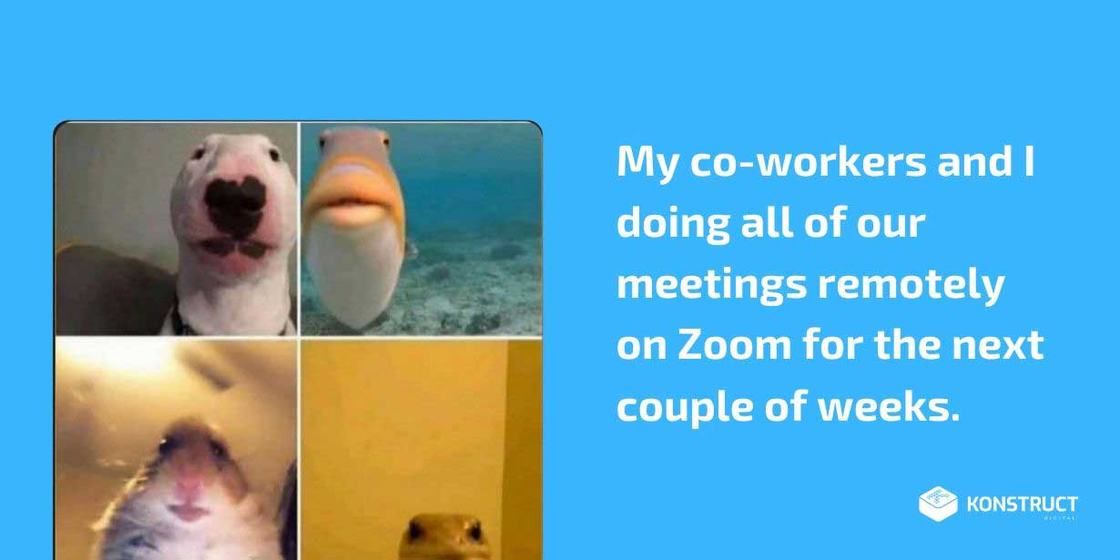 Helpful Tips for Zoom Meetings!