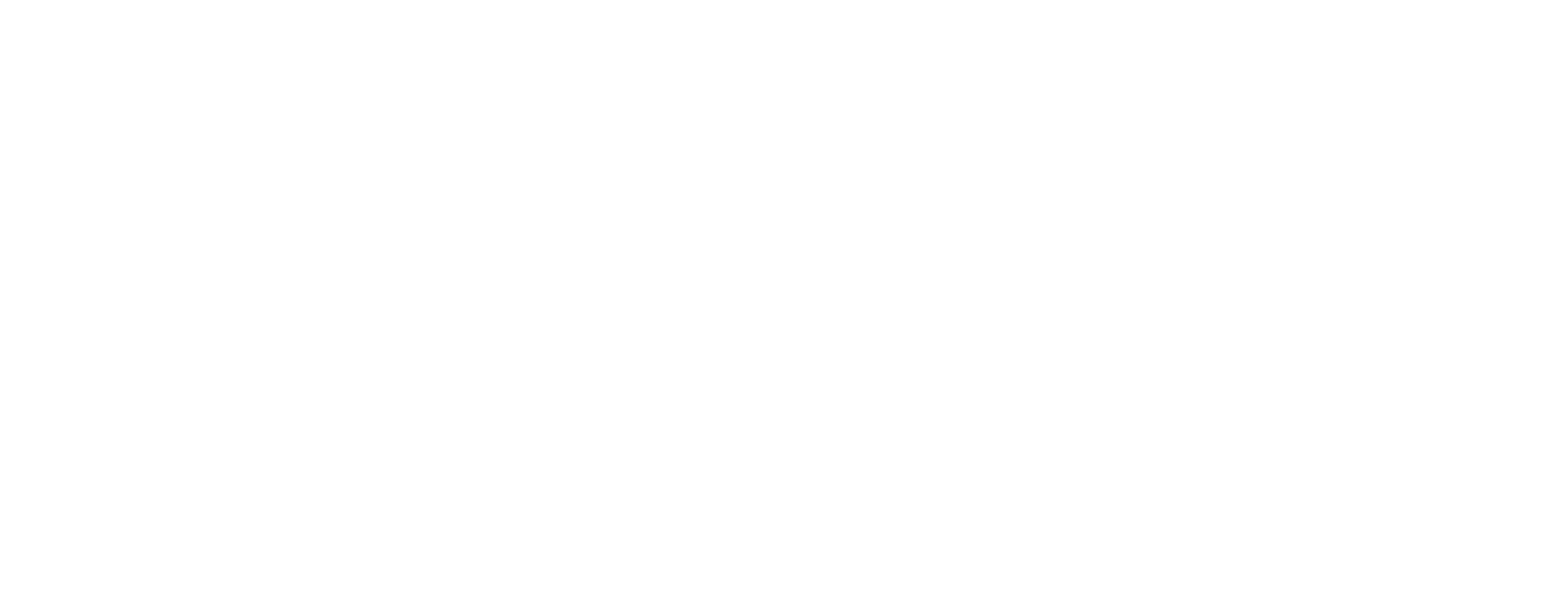 Shane Homes Logo