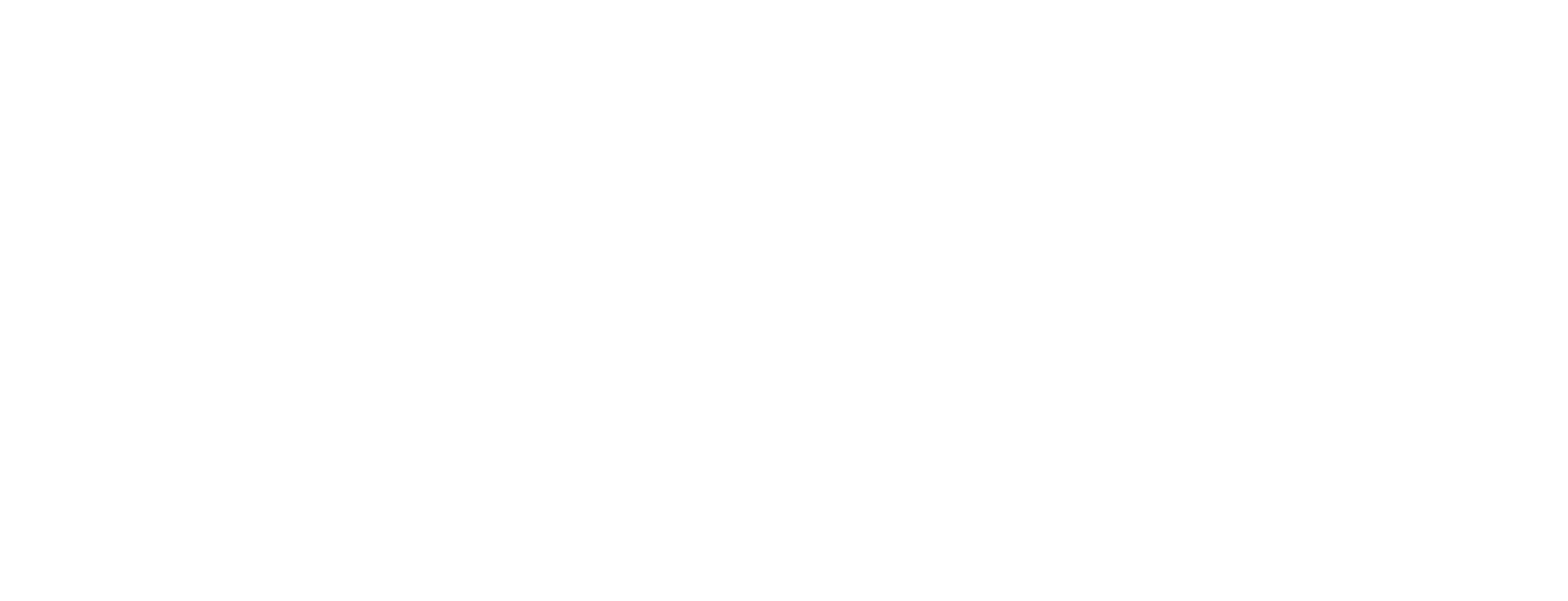 Souper-Cubes-white-logo